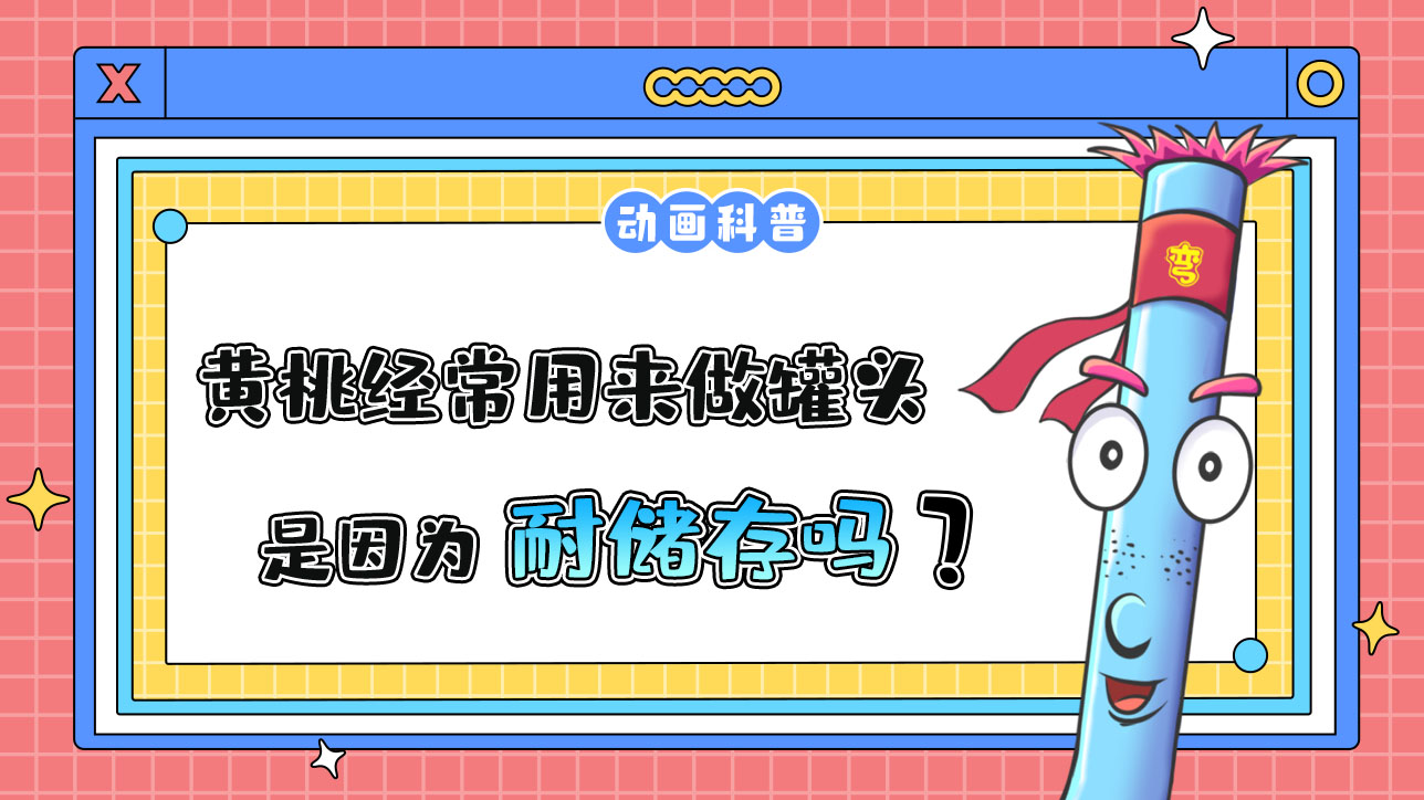 黃桃經(jīng)常用來做罐頭，是因為耐儲存嗎？.jpg