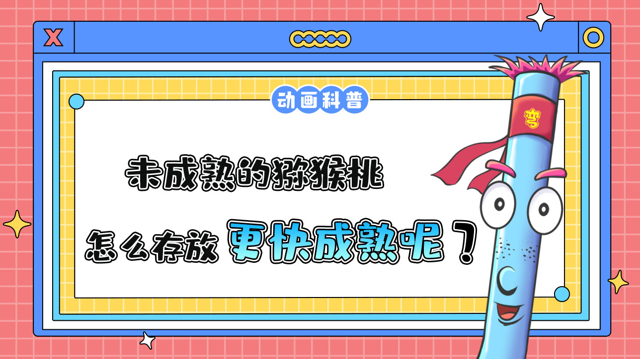 未成熟的獼猴桃怎么存放能更快成熟呢？.jpg