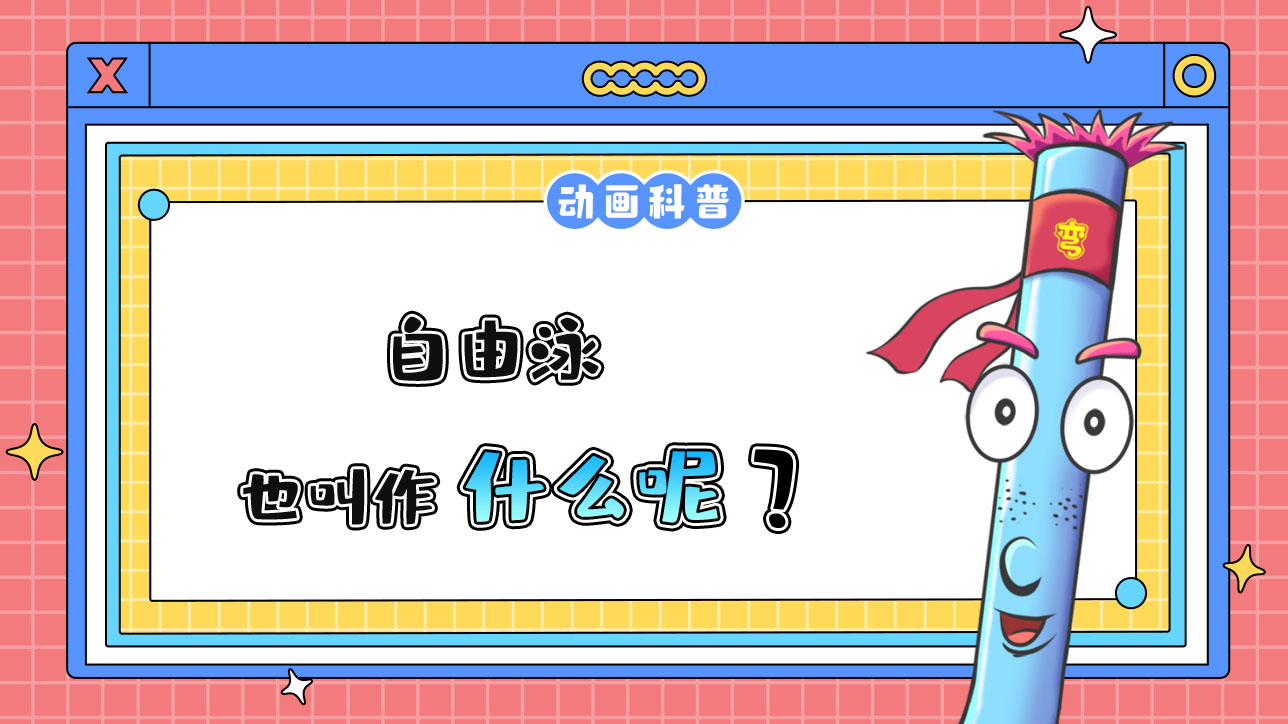 自由泳也叫作什么呢？.jpg
