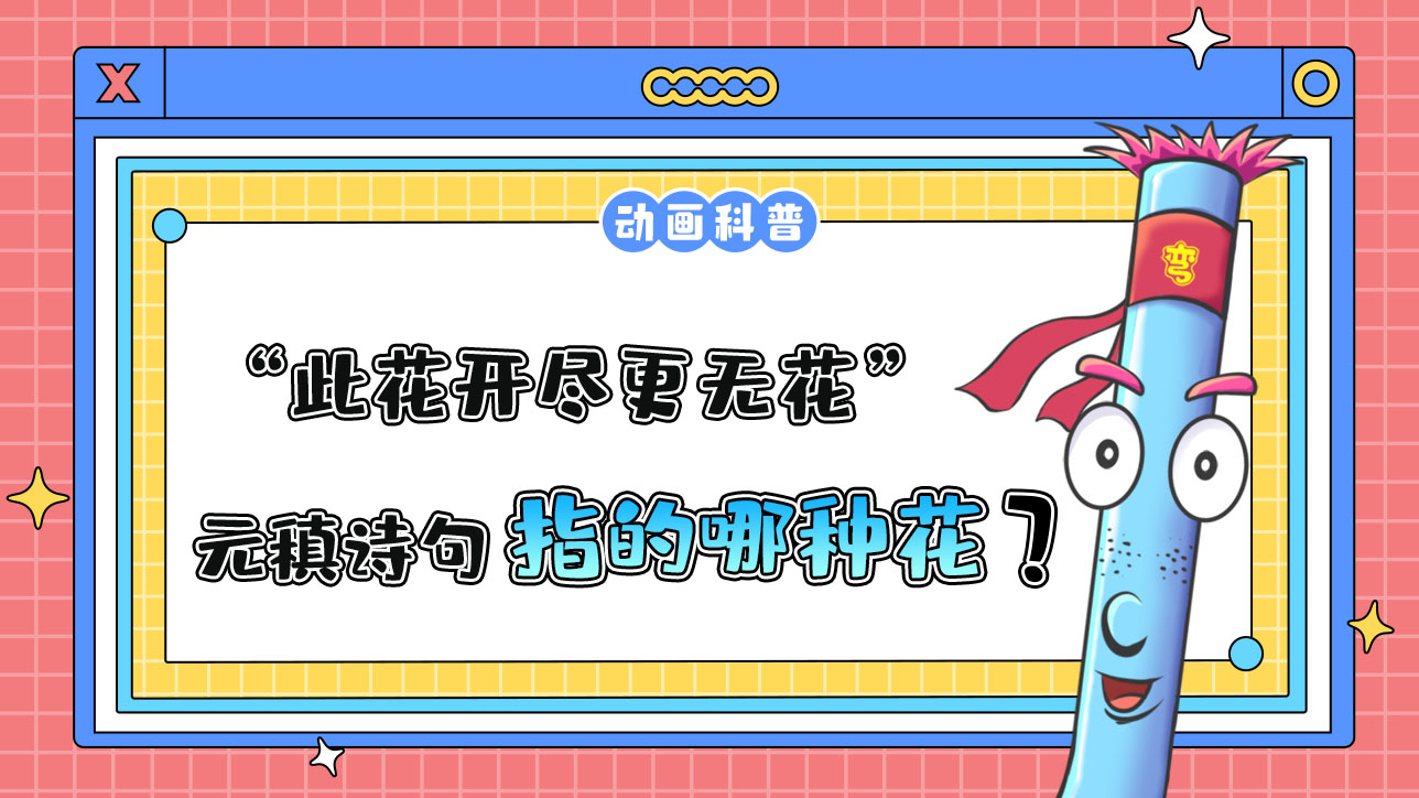 元稹詩句“此花開盡更無花”指的是秋季開放的哪種花呢？.jpg