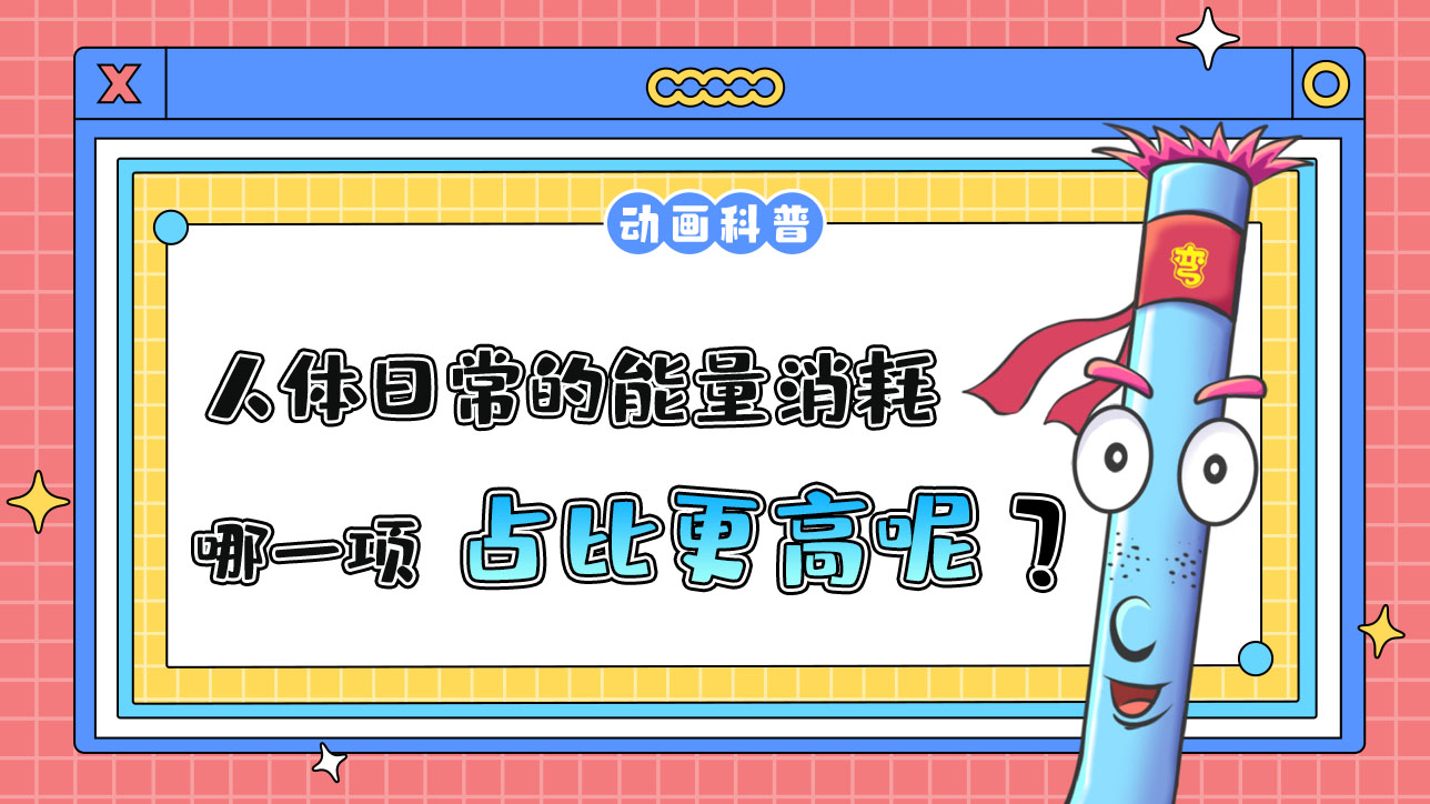 在人體日常的能量消耗中通常哪一項占比更高呢？.jpg