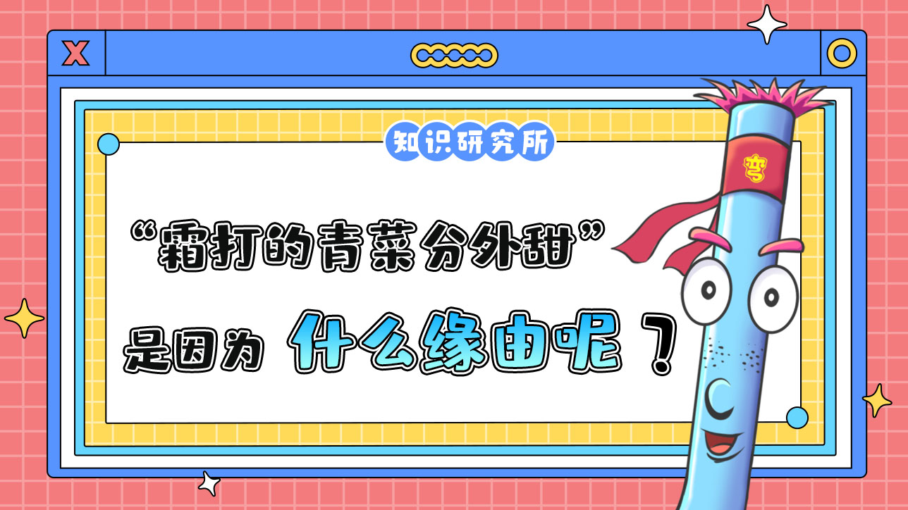 俗話說“霜打的青菜分外甜”，是因?yàn)槭裁茨兀?jpg