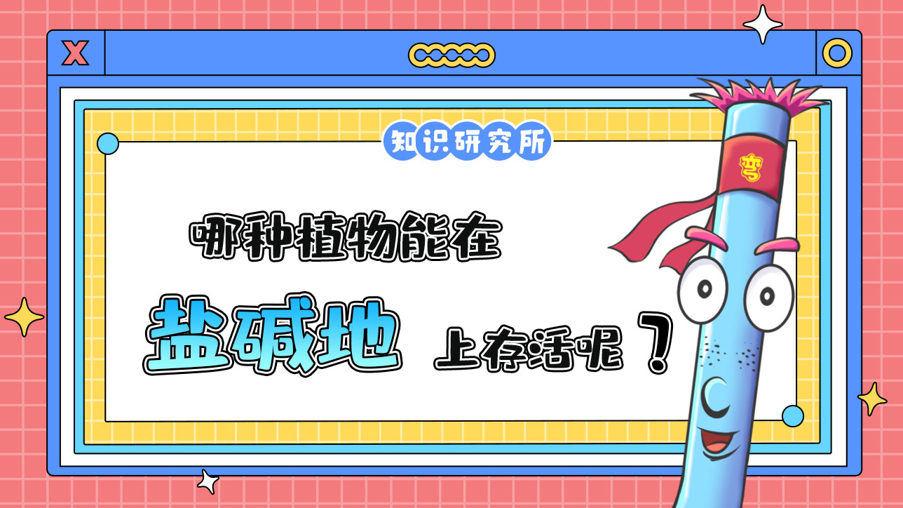 哪種植物能在鹽堿地上存活呢？.jpg