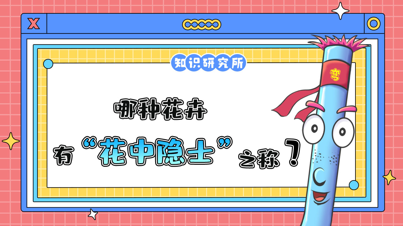 哪種花卉有“花中隱士”之稱？.jpg