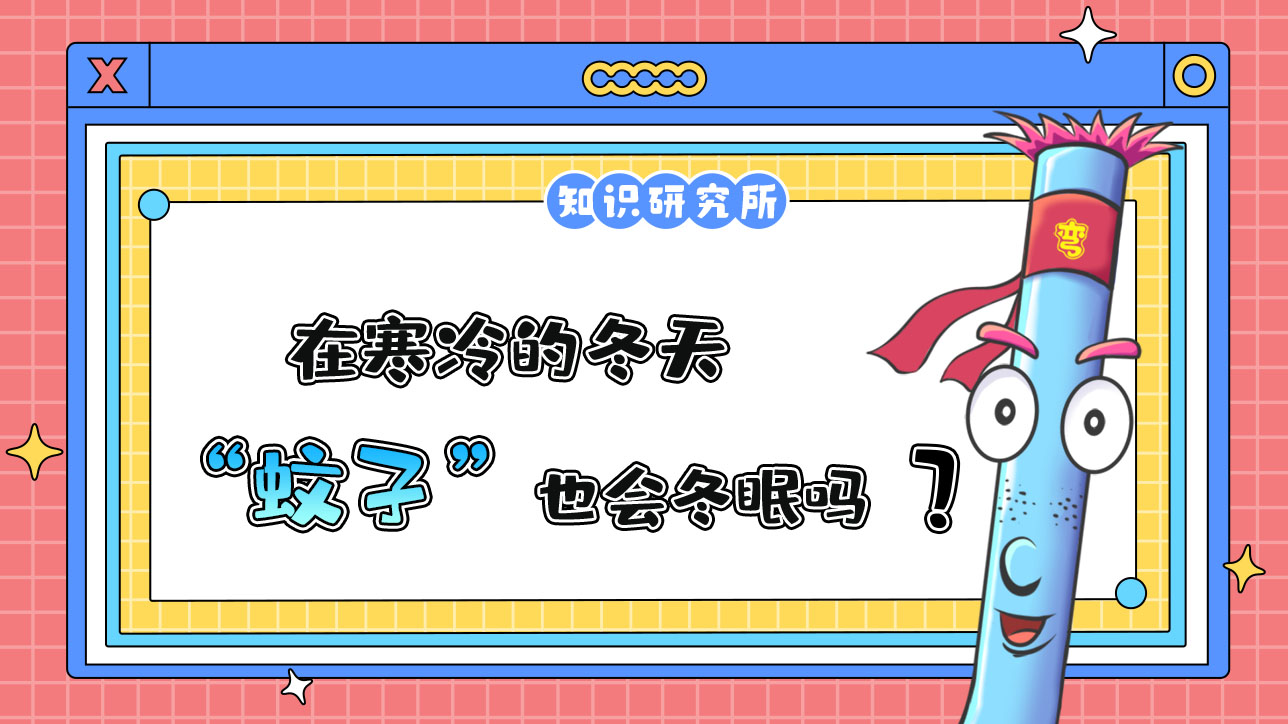 在寒冷的冬天，蚊子也會(huì)冬眠嗎？.jpg