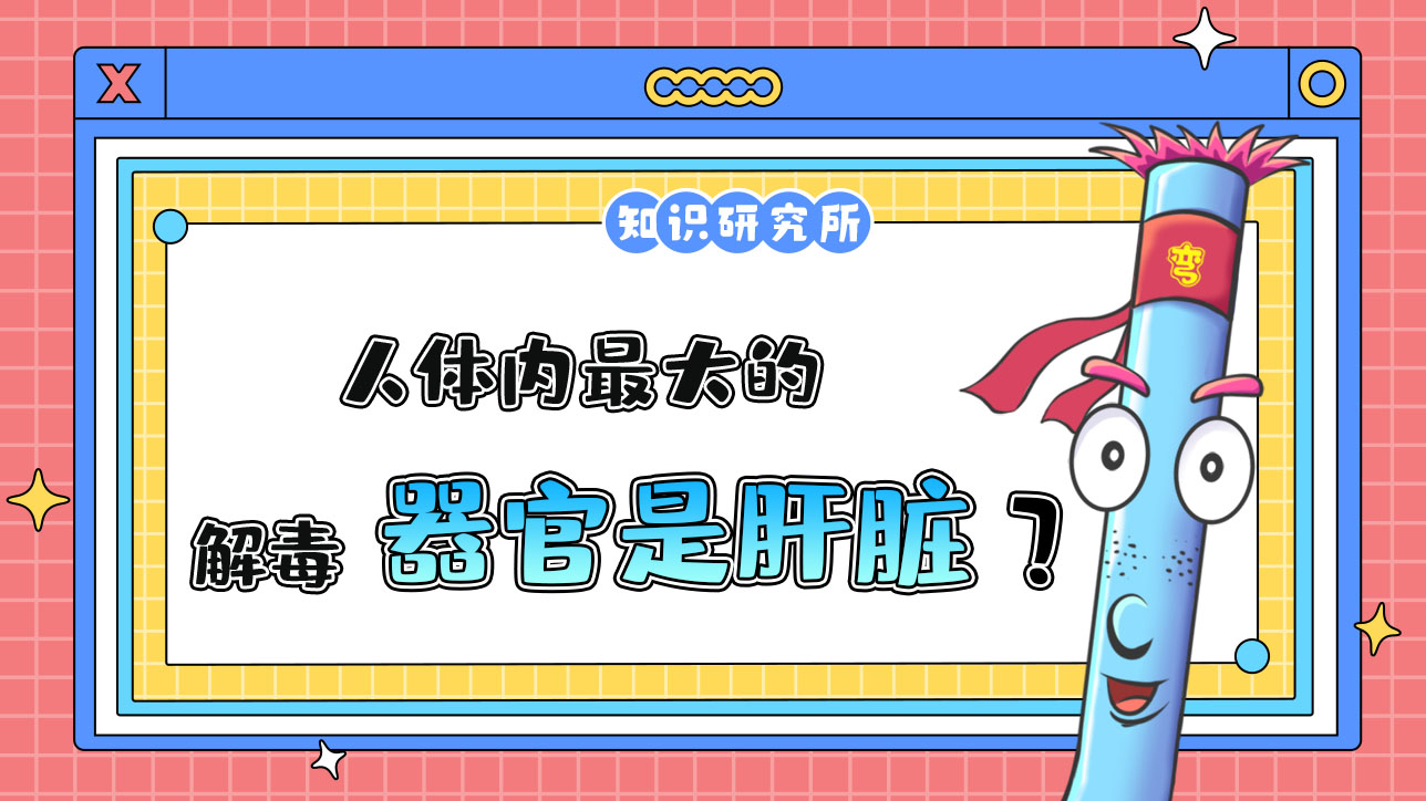 人體內(nèi)最大的解毒器官是肝臟？.jpg