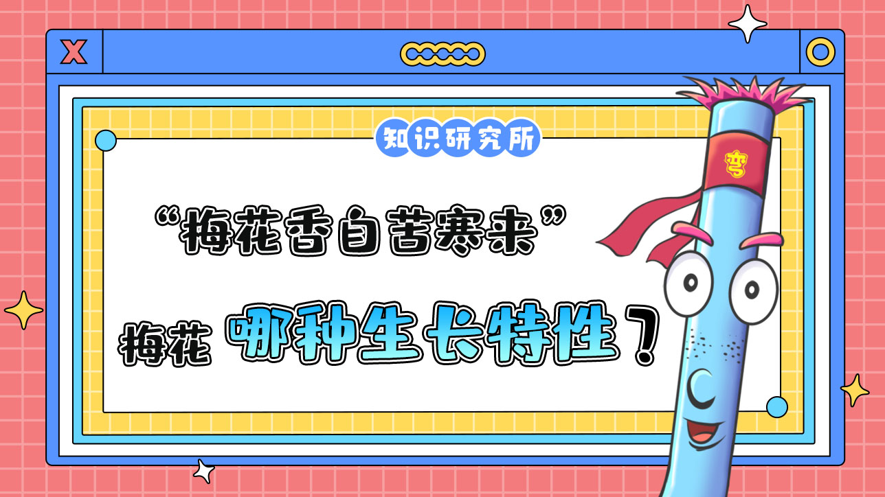 “梅花香自苦寒來”說的是梅花的哪種生長特性？.jpg