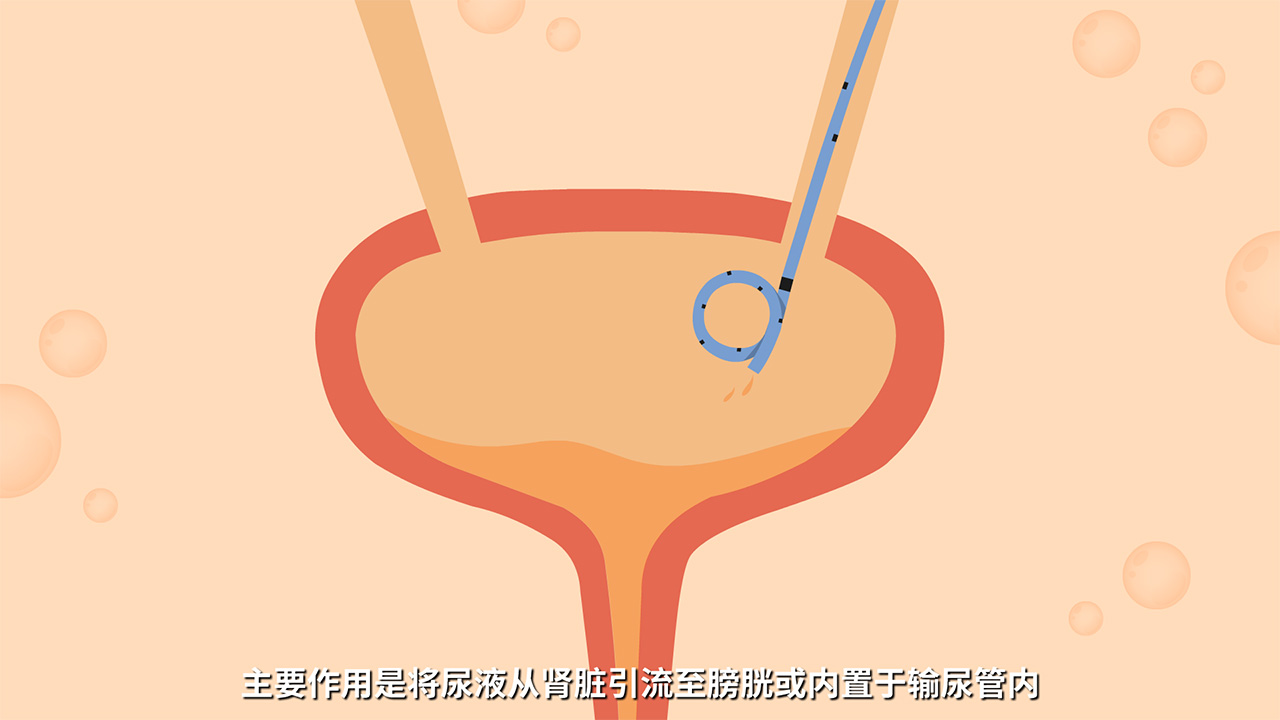 如何制作動(dòng)畫(huà)視頻教程.jpg