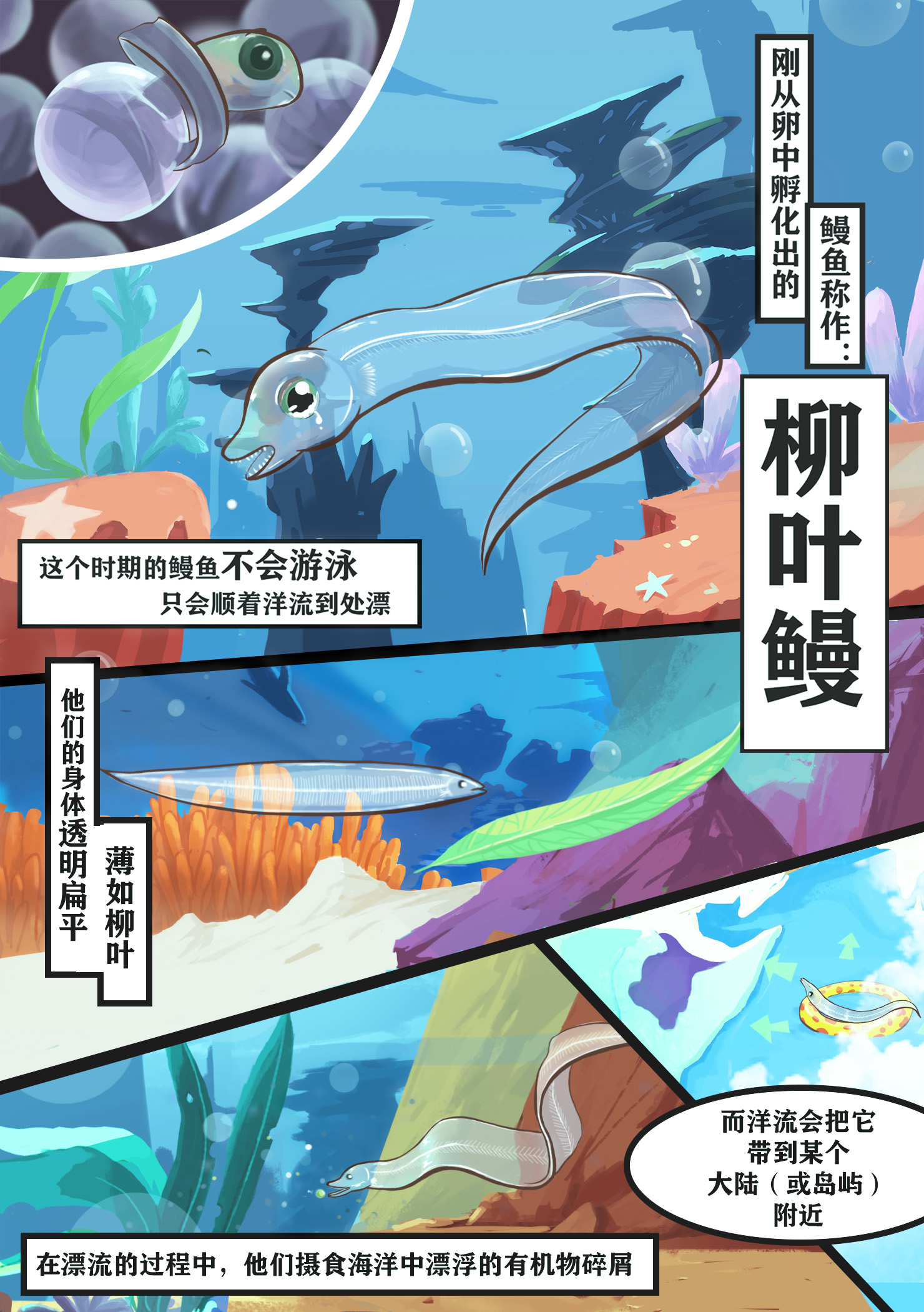 動(dòng)畫片是怎么制作出來(lái)的.jpg